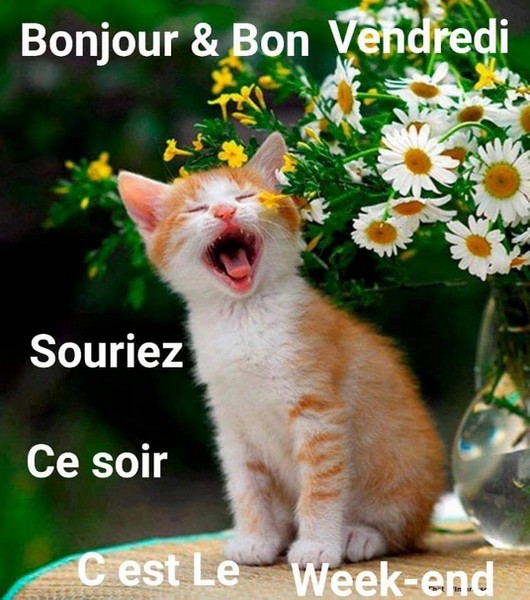 chat