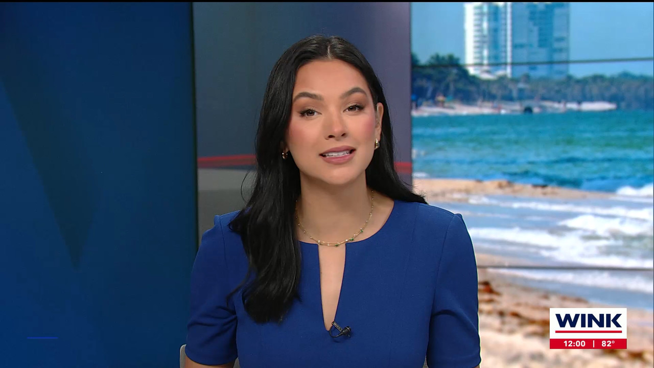 The WINK Noon News_20231201_17001730.ts_snapshot_01.15.244