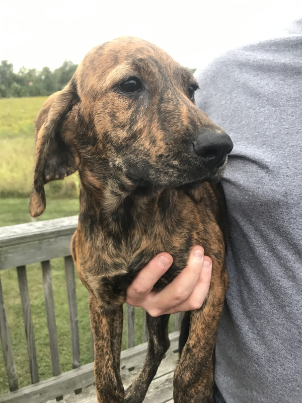 0E440BE7-53CF-4796-9F8E-A7D65034B26F