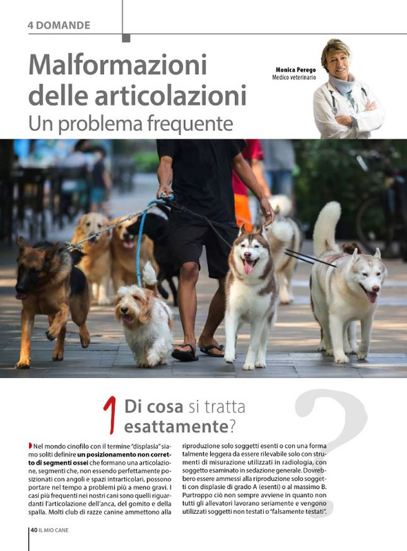 Il M C Dic 2023-Gen 2024 (8)