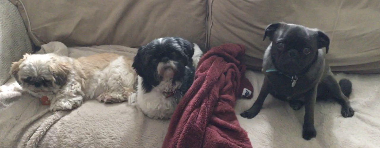 C98EEC83-8428-4F1A-866B-C8FF5EFC2631