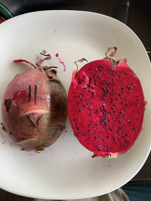 7DFF17A2-8494-4ABD-9701-76D3BB8F4E73