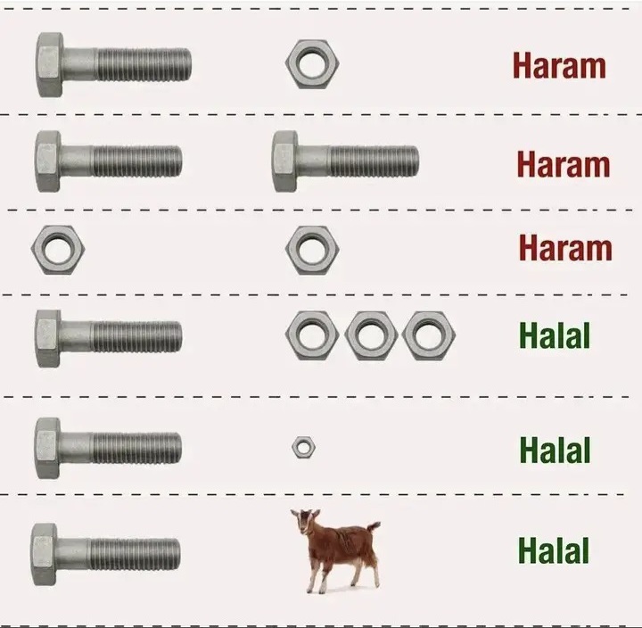 [Image: Haram2.jpg]