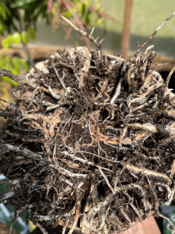 C897C1FC-83A9-4094-916F-2446998D671A