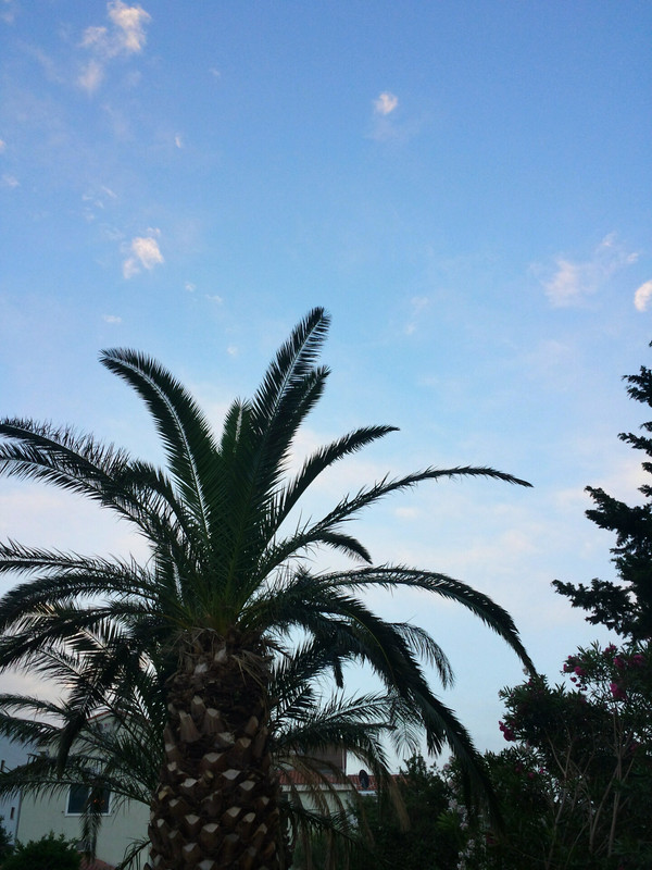 20180608_202057