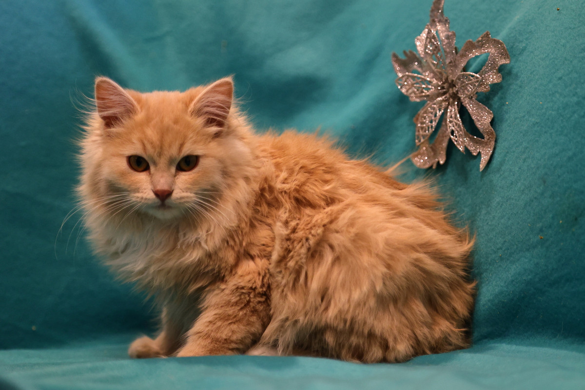 E5B4FF61-B088-4FDE-BEF4-DA5F712C147A