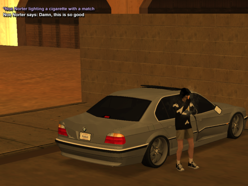 Rohiimatt-SSRP-(2).png