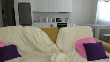 [Image: 16420471-mp4m.gif]