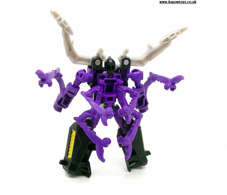 10422166_774055122614686_4708866015858504478_n