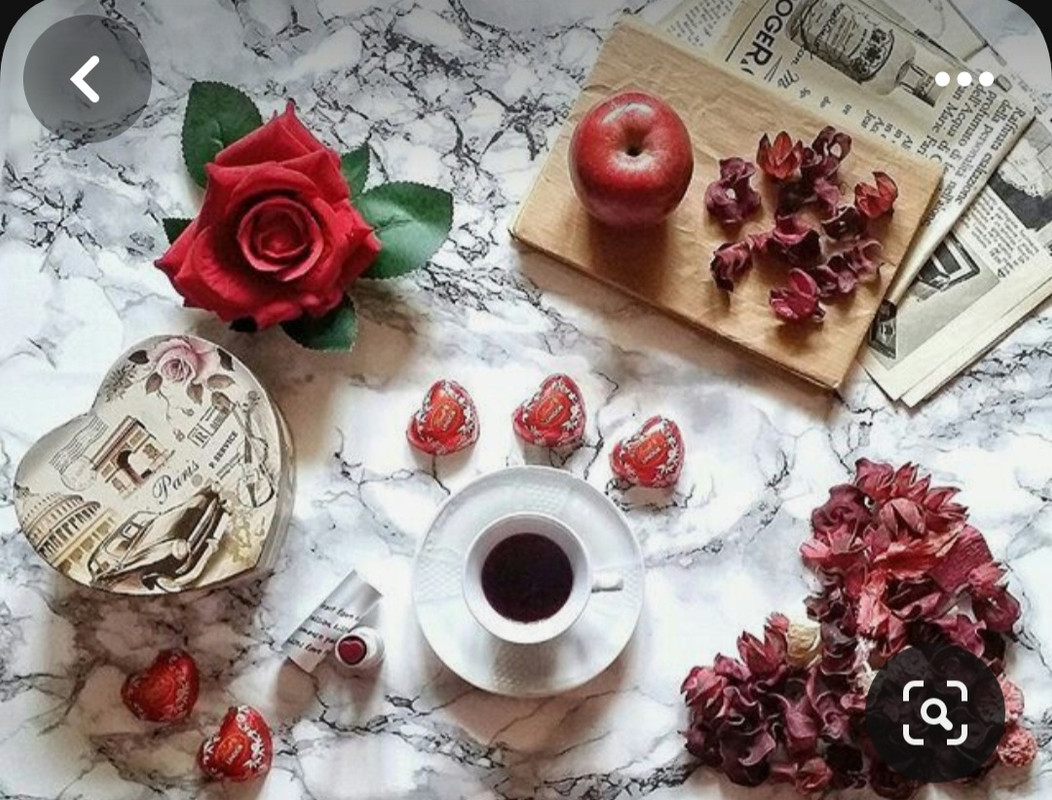 Screenshot_20240206_185908_Pinterest