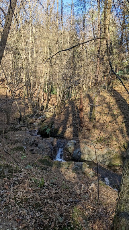 PXL_20231223_113309403