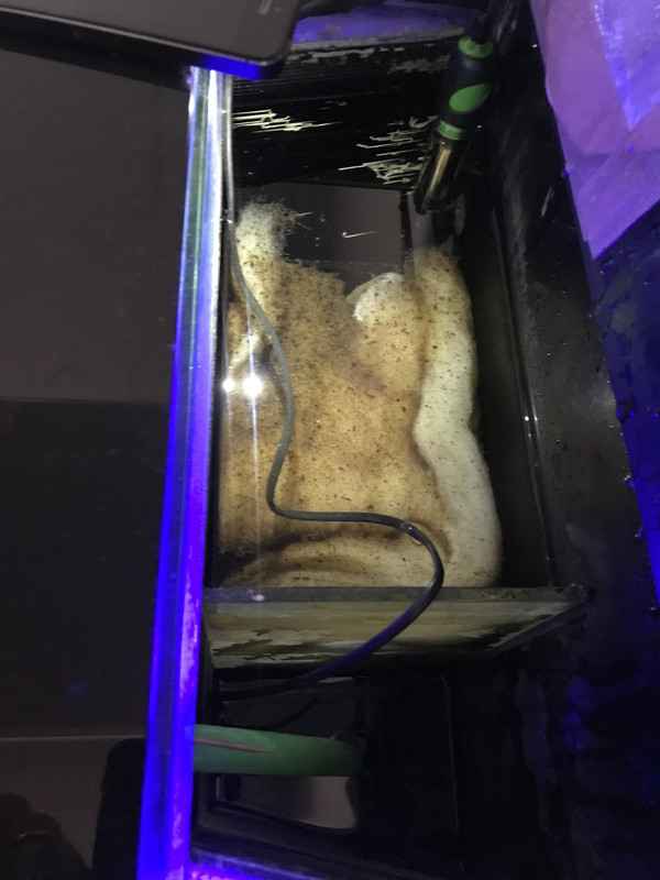 F302DBF9-C935-458E-8823-D47A6E964FEC