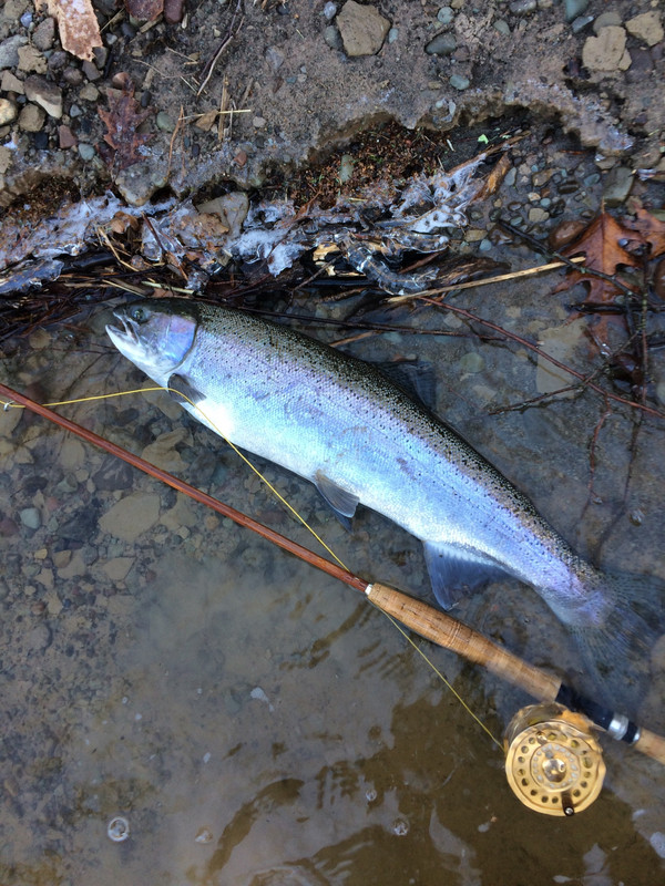 4E2BFD58-B234-4CFC-8975-DE89E753B955