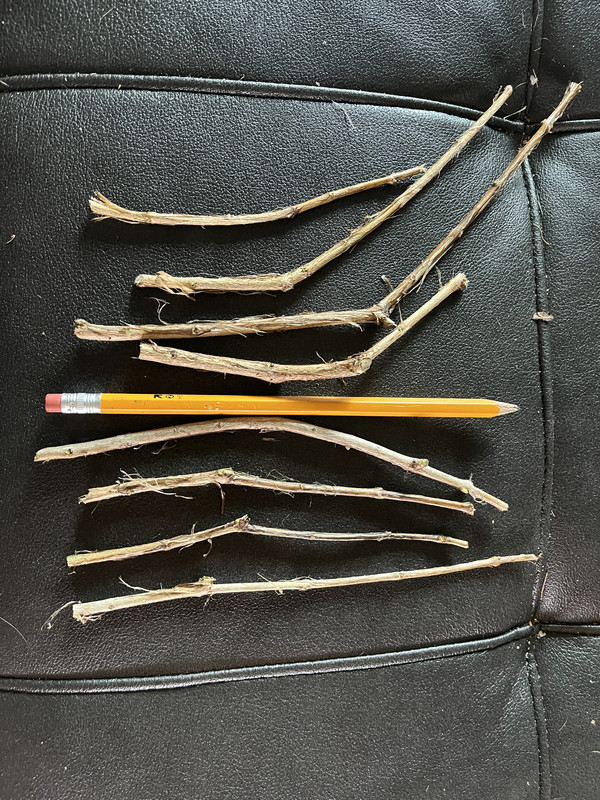 3DEFB38B-F777-4786-A0A7-B254D08027E7