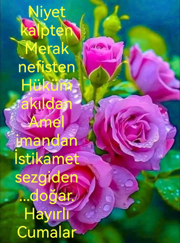 IMG 20250620 WA0021