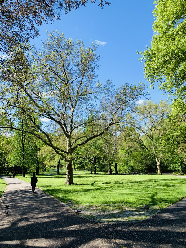 FA5E521A-904D-4759-96D3-D98F0E0A1F6A