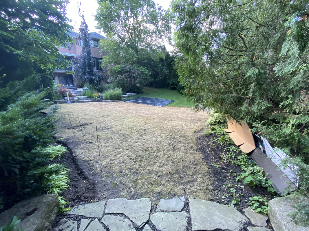 FD24D4B2-8115-41E2-8436-F0B0F1C9F8A9