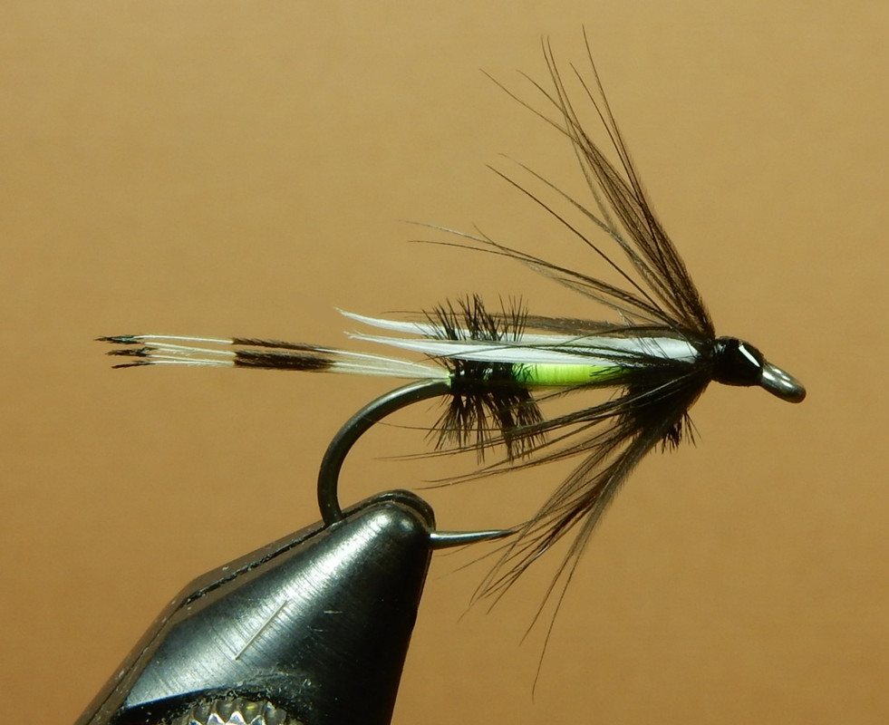 Fire-Fly-Nymph-1080.jpg