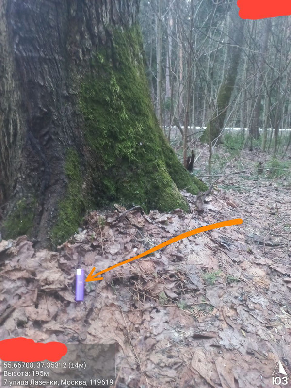 IMG 20260406 024623 109