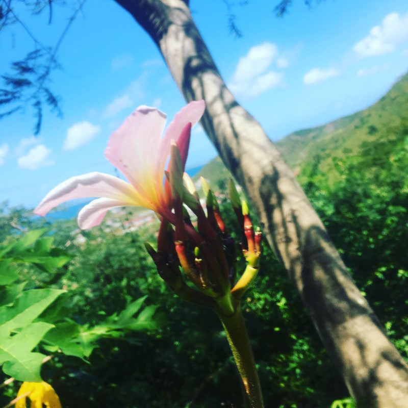 F78C6909-2AEB-4133-8ED3-4E1369126E99