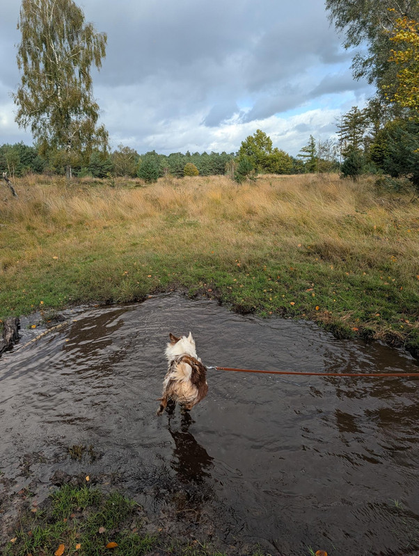 signal 2025 10 24 17 13 05 638