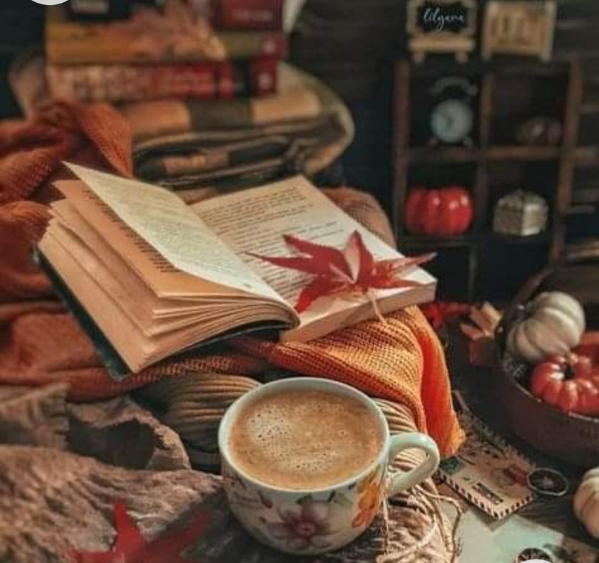 Screenshot_20221227_015238_Chrome