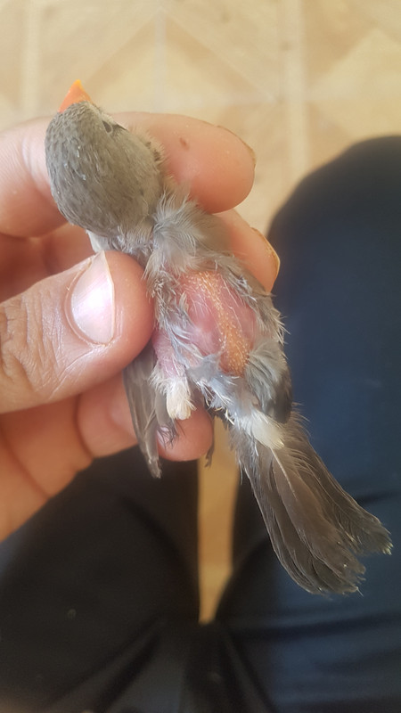 ٢?١٩?٦١١_١٥?٢٥?