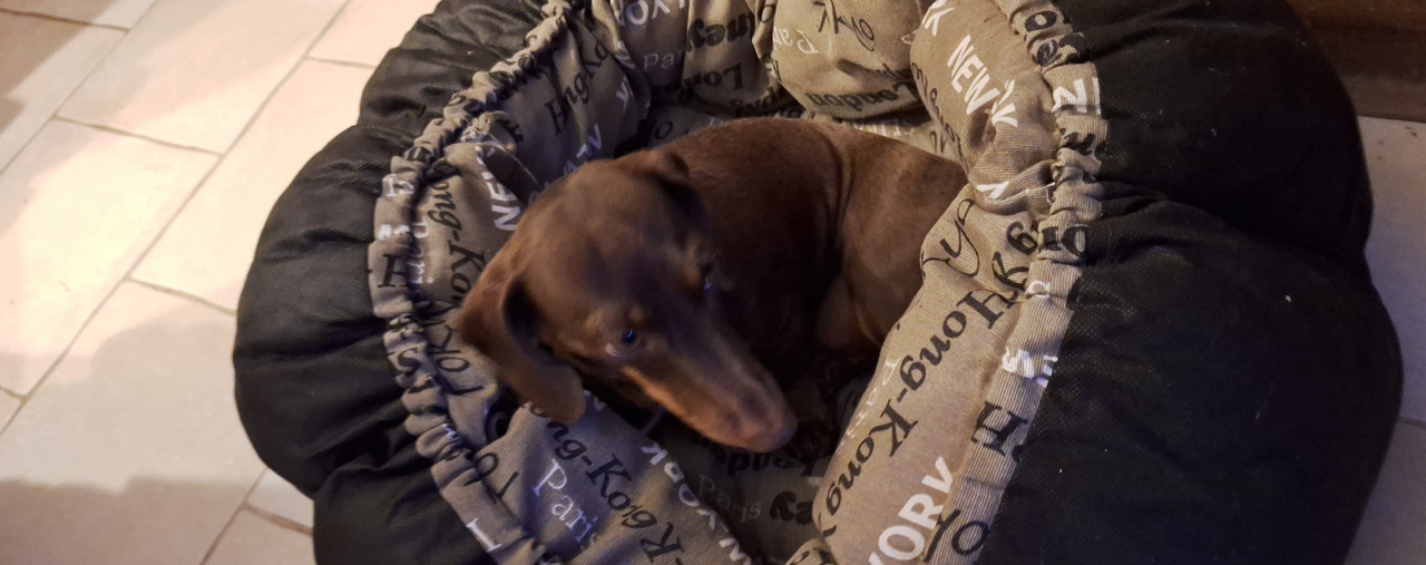 [Image: IMG-20240929-WA0015.jpg]