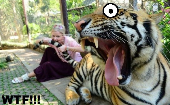 bite-tiger-tail.jpg