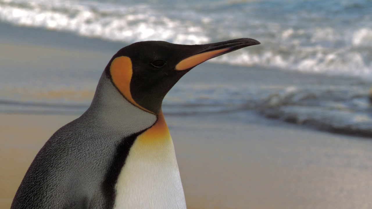 vlcsnap-2023-10-22-14h43m36s224