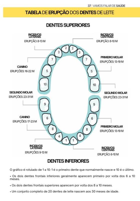 Erupção dos Dentes de Leite