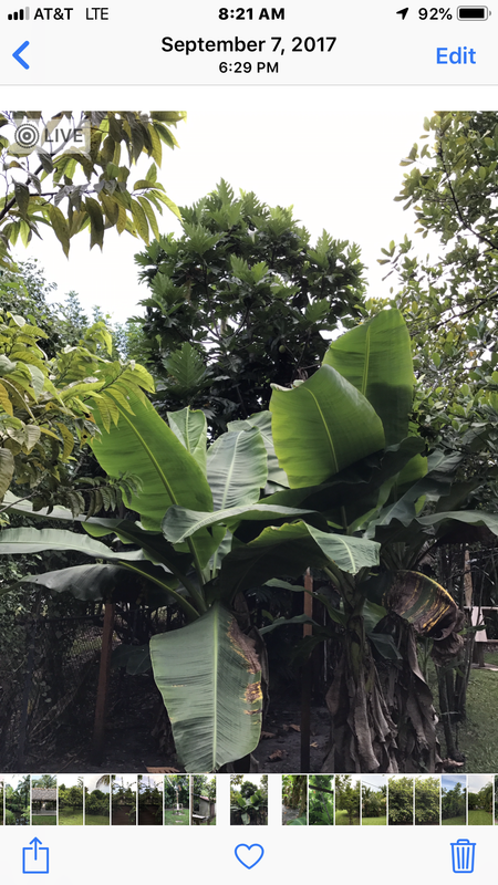 2EC3765C-1E65-483C-9862-283345667E53