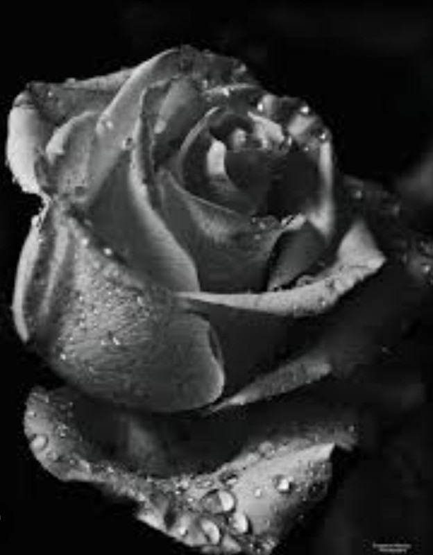 Screenshot_20221203-013936_Chrome