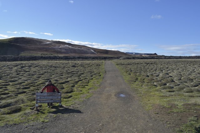 Islandia, 17 días..."sin sus noches" Julio 2022 - Blogs de Islandia - 8 JULIO/22 DIA DE VOLCANES Y SULFURARAS (11)