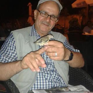 صورة