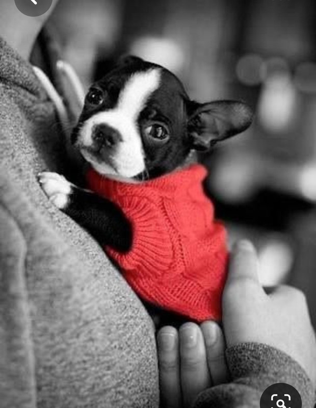 Screenshot_20230702_182739_Pinterest