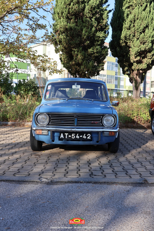 IMG 7332