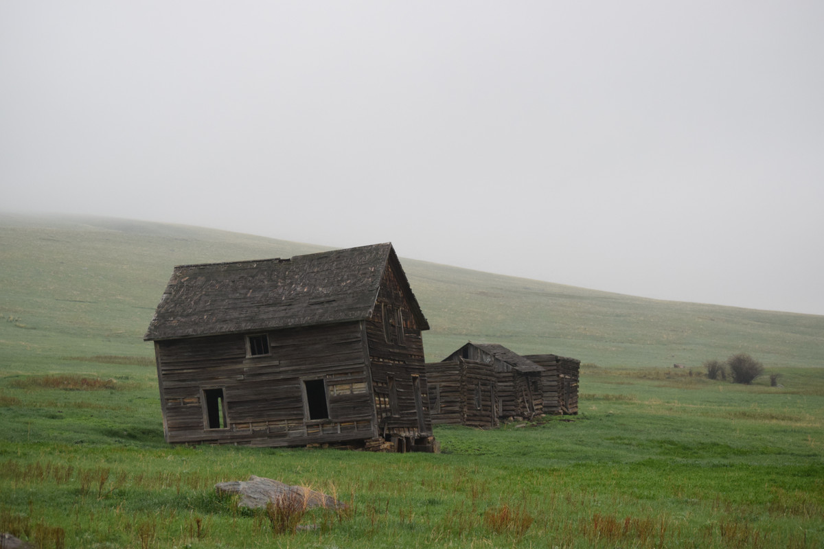 DSC_0198