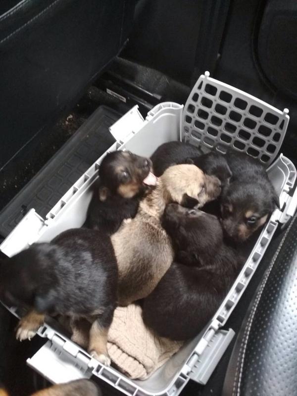 Марта малятко7