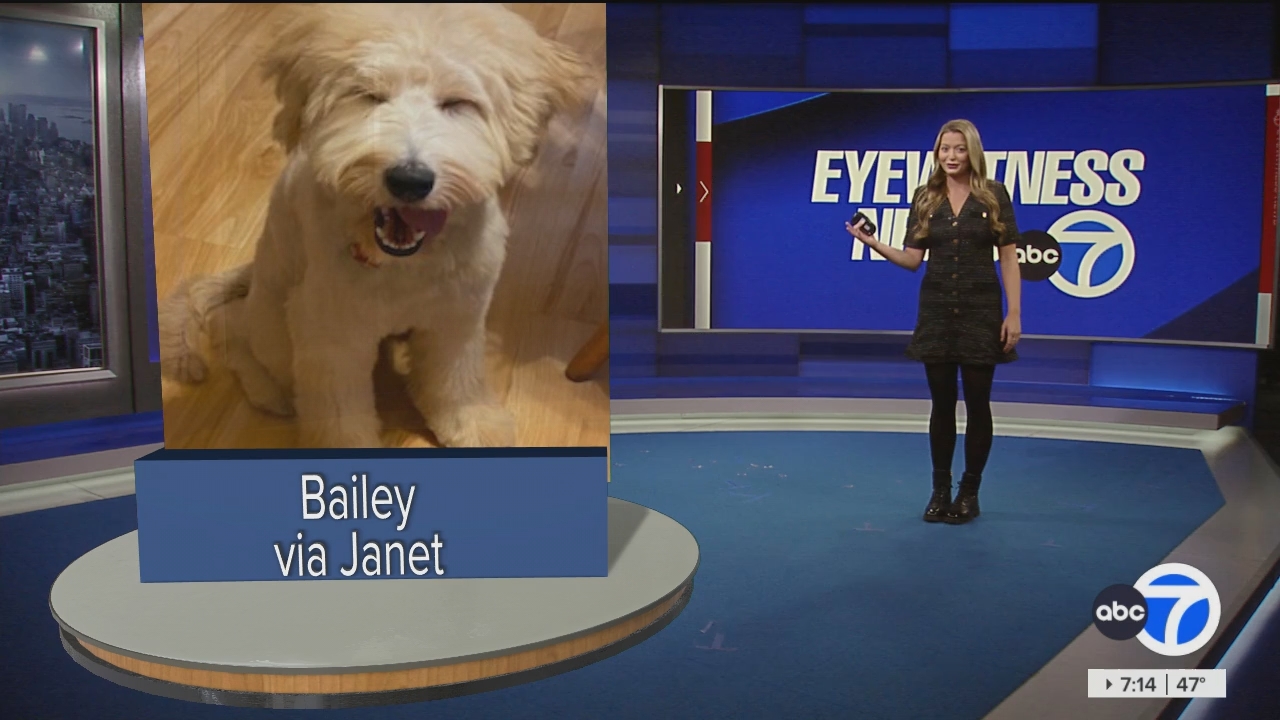 Eyewitness News Sunday Morning_20241110_11001300.ts_snapshot_01.15.41.616