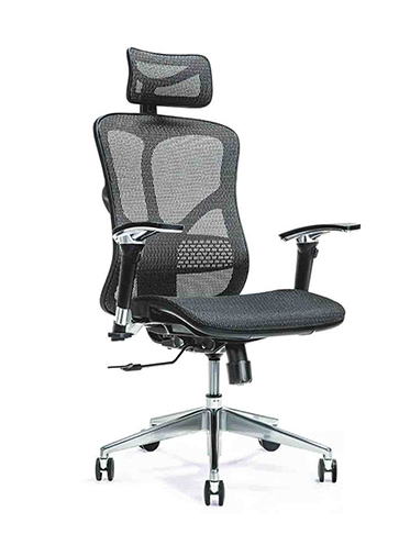 Ergo500