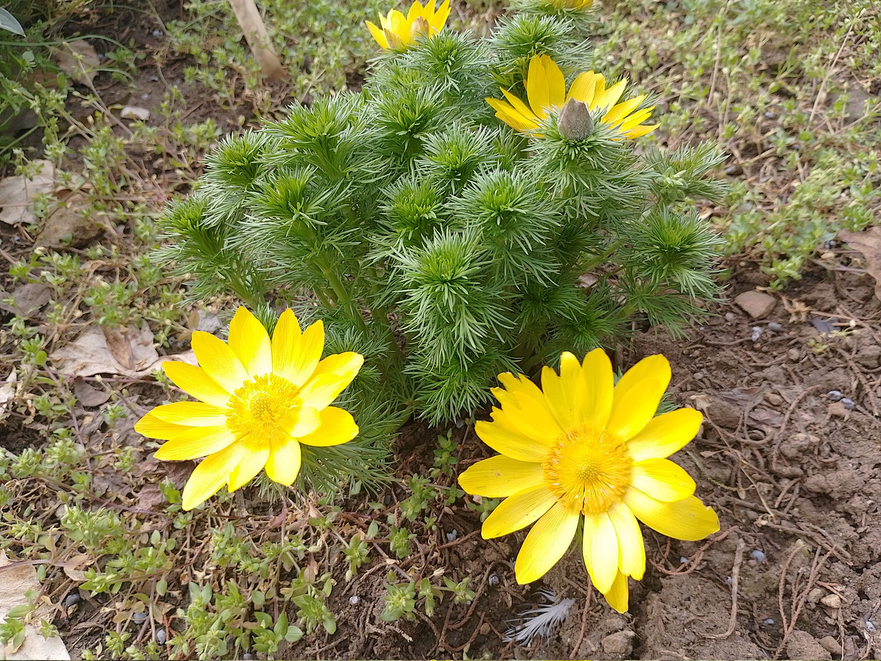 IMG 20260327 092800