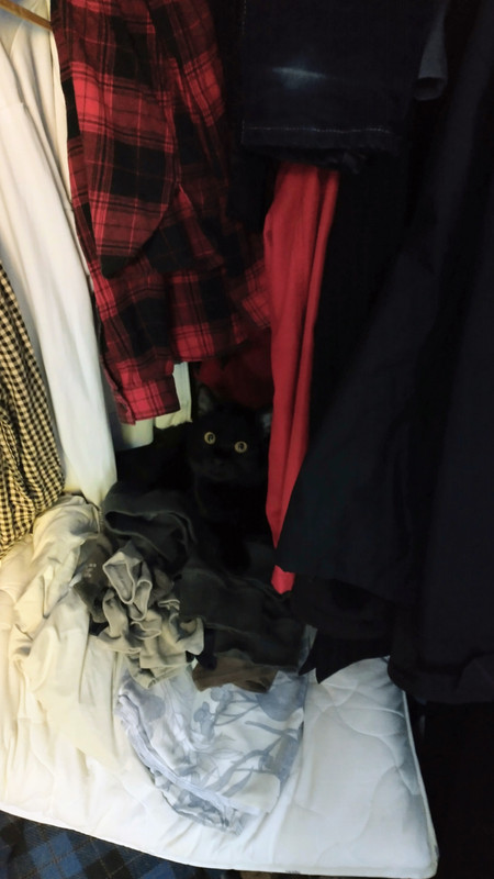 IMG 20251105 110501206 HDR 2