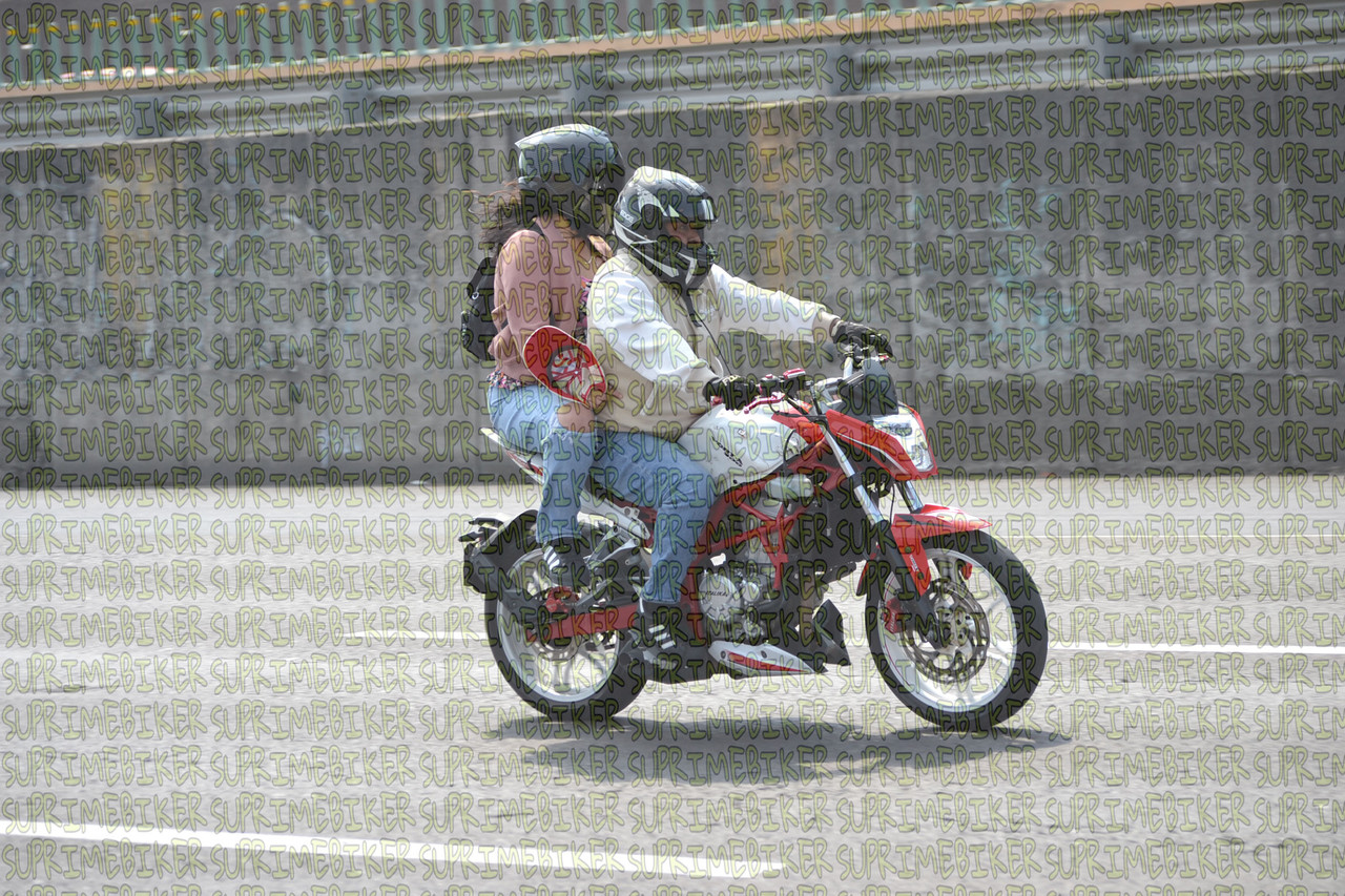 DSC 0240