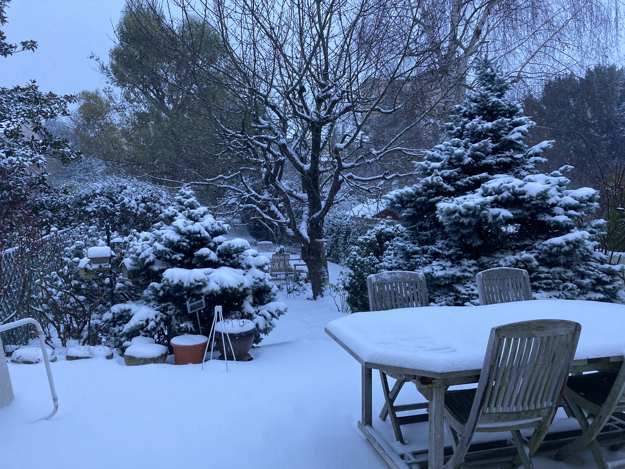 [Image: IMG-4451.jpg]