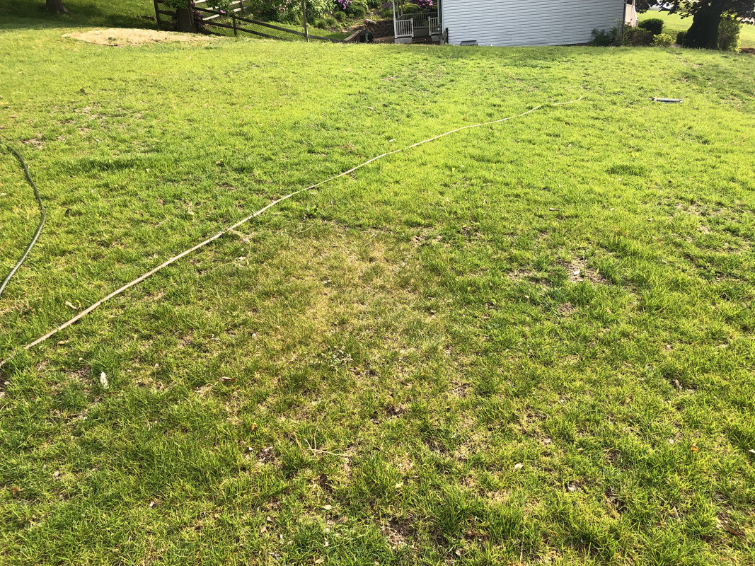 05F20CB5-2288-4162-BAD1-54F7CBF13D51