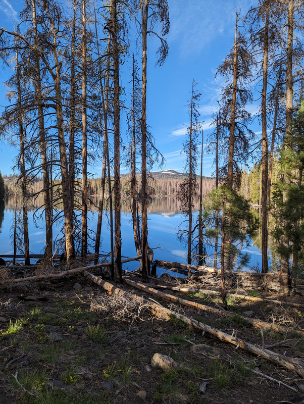 PXL_20250614_141231486