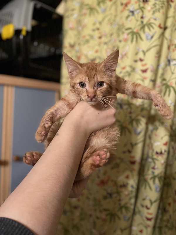 6C03FBCB-7F34-4C5B-986D-7A38B934284F