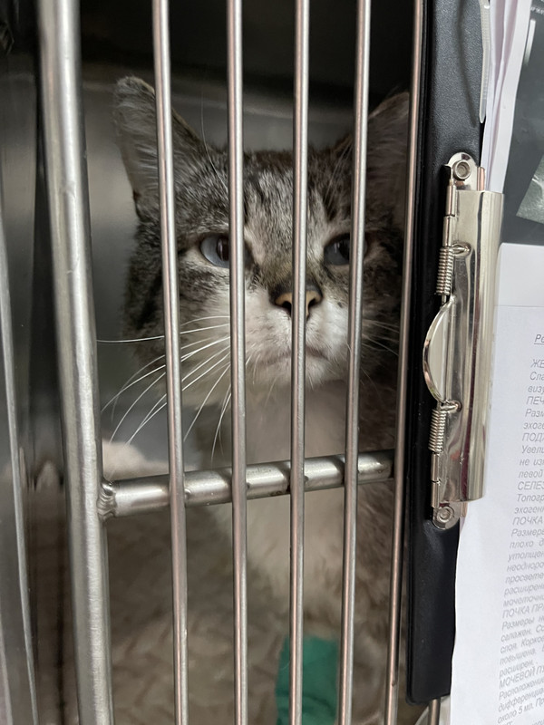 5247A90E-0BDD-4DBF-90FB-562C921DCA9D