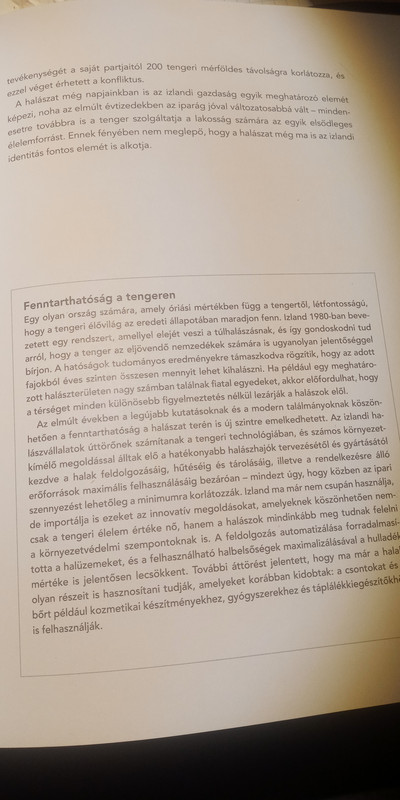 Kép